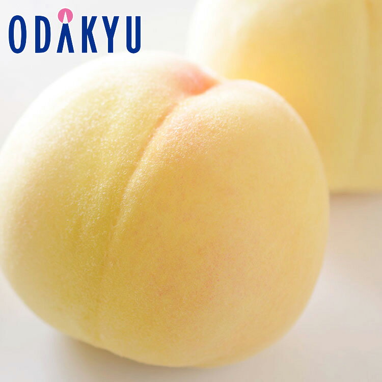 桃 もも 送料無料 受注販売 岡山県産 清水白桃 × 6玉 約1.6kg ｜7月下旬以降のお届け※沖縄・離島へは届不可(直)