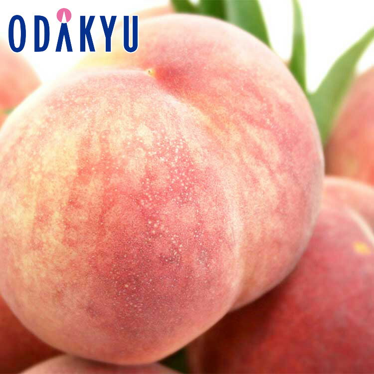 もも 送料無料 山梨県産 糖度13度以上 春日居の桃 5〜6玉 約1.8kg ｜7月中旬以降のお届け ...