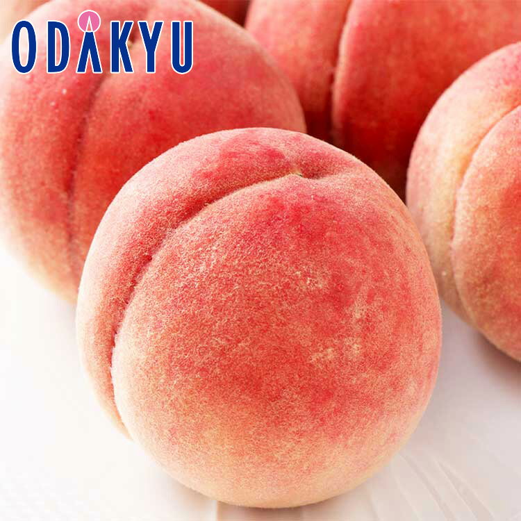 もも 送料無料 山梨県産 糖度13度以上 加納岩の桃 信玄 5〜6玉 約1.8kg ｜7月中旬以降のお届け※沖縄・離島へは届不可(直)
