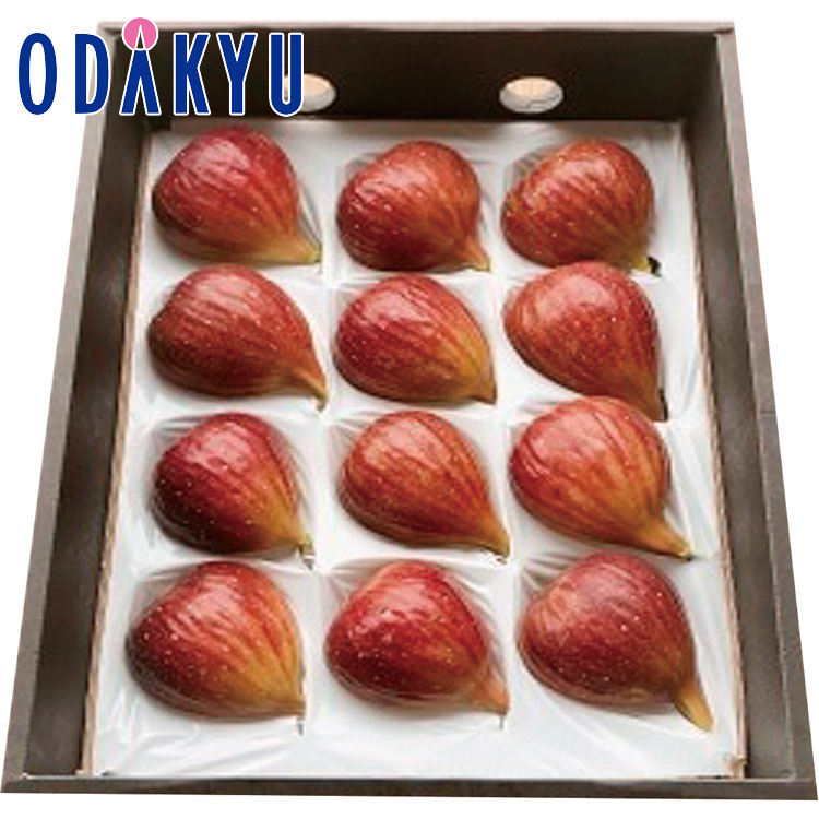 【公式】小田急百貨店 ギフト お中元 送料無料 2024 和歌山産 樹上完熟イチジク フルーツ 果物 果実 【7/20より順次お届け（※お届け希望期間指定）】※沖縄・離島へは届不可