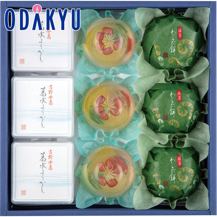 【公式】小田急百貨店 ギフト お中元 お菓子 2024 ［ 菓匠 清閑院 ］ 吉野本葛 葛水ようかん 詰め合わせ 和菓子 菓子 御中元 中元 お祝い 【お届け希望期間から最大10日程度届目安】※沖縄・離島へは届不可のサムネイル