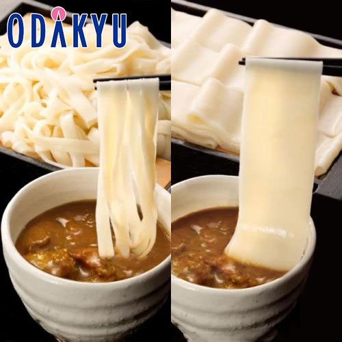 お取り寄せ ごちそう 産地直送 送料無料 ［ 群馬・花山うどん ］ 老舗のカレーつけうどん CH-4 ｜7-10日程度でのお届け※沖縄・離島へは届不可(直)のサムネイル