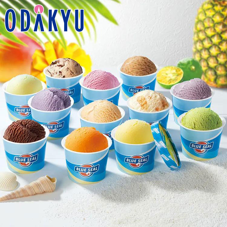 お取り寄せ ごちそう 産地直送 送料無料 ［ ブルーシール BLUE SEAL ］ ギフト12 ｜7-10日程度でのお届け※沖縄・離島へは届不可(直)のサムネイル