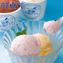 お取り寄せ ごちそう 産地直送 送料無料 阿蘇天然アイス 10個 セット |7-10日程度でのお届け【お盆時期の発送予定は要確認】※沖縄・離島へは届不可(直)