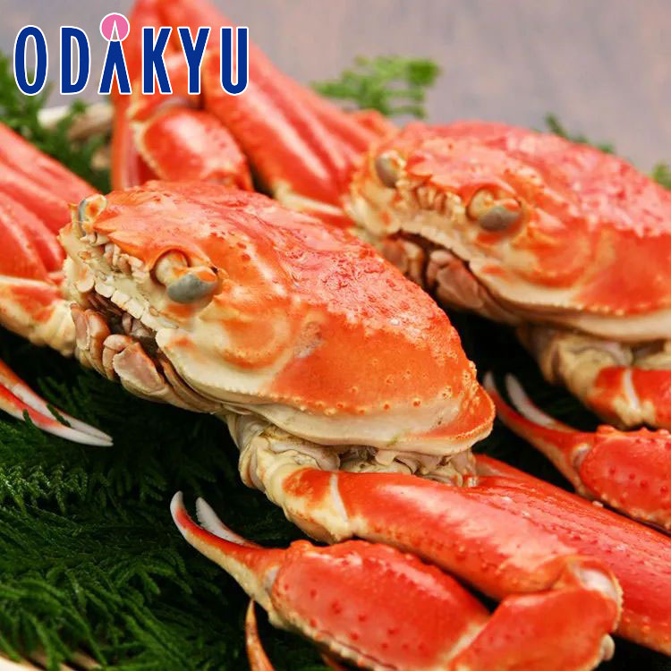 お取り寄せ ごちそう 産地直送 送料無料 ずわい蟹 |7-10日程度でのお届け※沖縄・離島へは届不可(直)