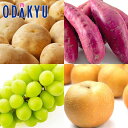 秋の味覚 特別販売会 ほくほく秋味セット |9月中旬より順次配送予定※沖縄・離島へは届不可(直)