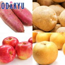 秋の味覚 特別販売会 しっとり秋の恵みセット |9月下旬より順次配送予定※沖縄・離島へは届不可(直)
