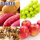 秋の味覚 特別販売会 秋の実りバラエティパック |9月中旬より順次配送予定※沖縄・離島へは届不可(直)