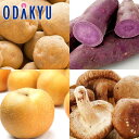 秋の味覚 特別販売会 秋のおかずBOX |9月下旬より順次配送予定※沖縄・離島へは届不可(直)