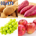 秋の味覚 特別販売会 彩り秋の収穫便 |9月中旬より順次配送予定※沖縄・離島へは届不可(直)