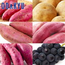 秋の味覚 特別販売会 秋の味覚 食べ比べセット |9月中旬より順次配送予定※沖縄・離島へは届不可(直)