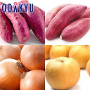 秋の味覚 特別販売会 秋のほっこりスイートBOX |9月中旬より順次配送予定※沖縄・離島へは届不可(直)