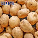 秋の味覚 特別販売会 お買得♪ 男爵芋 L~2Lサイズ 10kg |9月中旬より順次配送予定※沖縄・離島へは届不可(直)