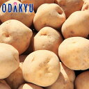 秋の味覚 特別販売会 お買得♪ 今金男爵 L~2Lサイズ 3kg |9月下旬より順次配送予定※沖縄・離島へは届不可(直)