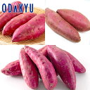 秋の味覚 特別販売会 お買得♪ いもいも食べ比べセット |9月下旬より順次配送予定※沖縄・離島へは届不可(直)