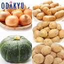 秋の味覚 特別販売会 お買得♪ <限定100セット> 北海道の旬野菜たっぷり詰合せ |9月中旬より順次配送予定※沖縄・離島へは届不可(直)