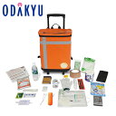 防災 防災セット 送料無料 防災バッグ TANAKA 防災士ブラザーズモデル1人用グレー |注文後、1ヵ月〜2ヵ月前後でのお届け予定(直)(3)