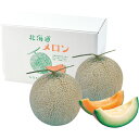 【公式】小田急百貨店 ギフト お中元 2025 北海道赤肉青肉メロンセット 0000-020152 / お中元 御中元 中元 夏ギフト 夏の贈り物 暑中見舞い ...
