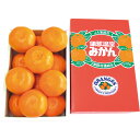 【公式】小田急百貨店 ギフト お中元 2025 愛知県産 蒲郡ハウスみかん GMG-01 / お中元 御中元 中元 夏ギフト 夏の贈り物 暑中見舞い 2025 楽天 上司 親戚 義理 友人 取引先 会社宛 両親 家族向け 定番 おすすめ |6月下旬-8月上旬にお届け※沖縄・離島へは届不可