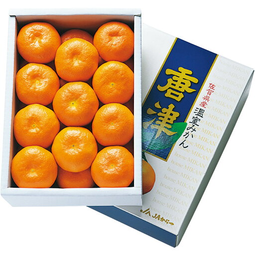 【公式】小田急百貨店 ギフト お中元 2025 佐賀県産 ・ ハウスみかん |7月上旬-8月上旬にお届け※沖縄・離島へは届不可 【公式】小田急百貨店 ギフト お中元 2025 佐賀県産 ・ ハウスみかん |7月上旬-8月上旬にお届け※沖縄・離島へは届不可