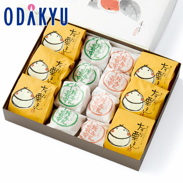 ギフト 和菓子 ［ 禅寺丸本舗 ］ 大きな栗まん 禅寺丸最中 14個入 ｜約3-10日でのお届け※北