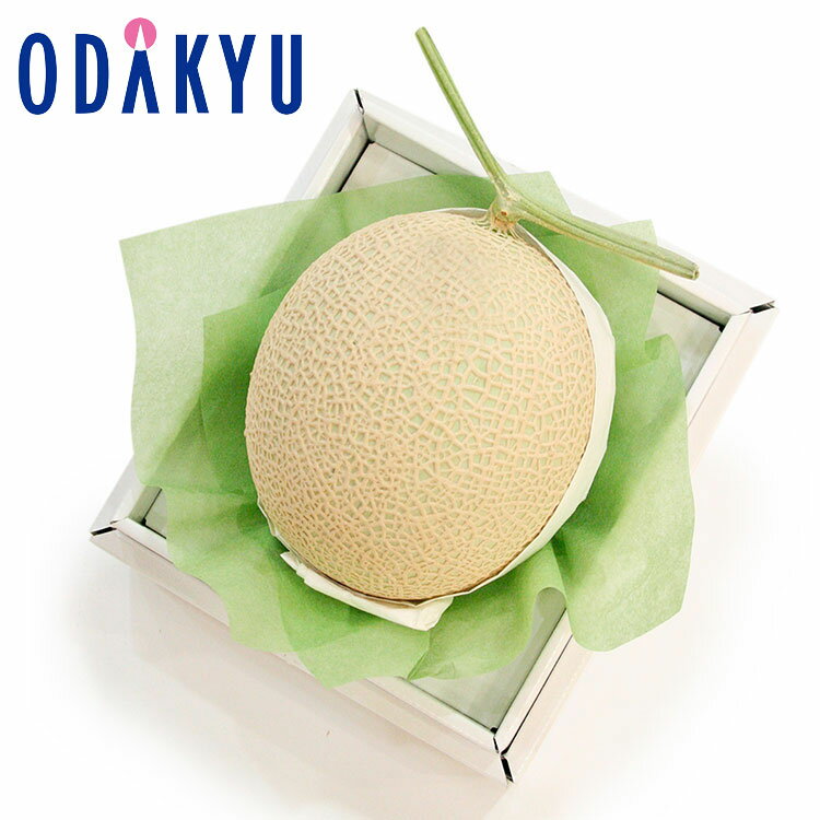 父の日 遅れてごめんね 送料無料 ギフト 2025 生産者限定 静岡県産マスクメロン×1玉 メロンの最高峰 ｜7-10程度のお届け(指定日不可)※..