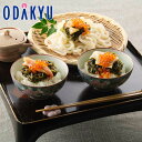 父の日 ギフト 2025 海鮮ぶっかけ丼セット 494 |指定日(※6/12-15)届※沖縄・離島へは届不可(FD)