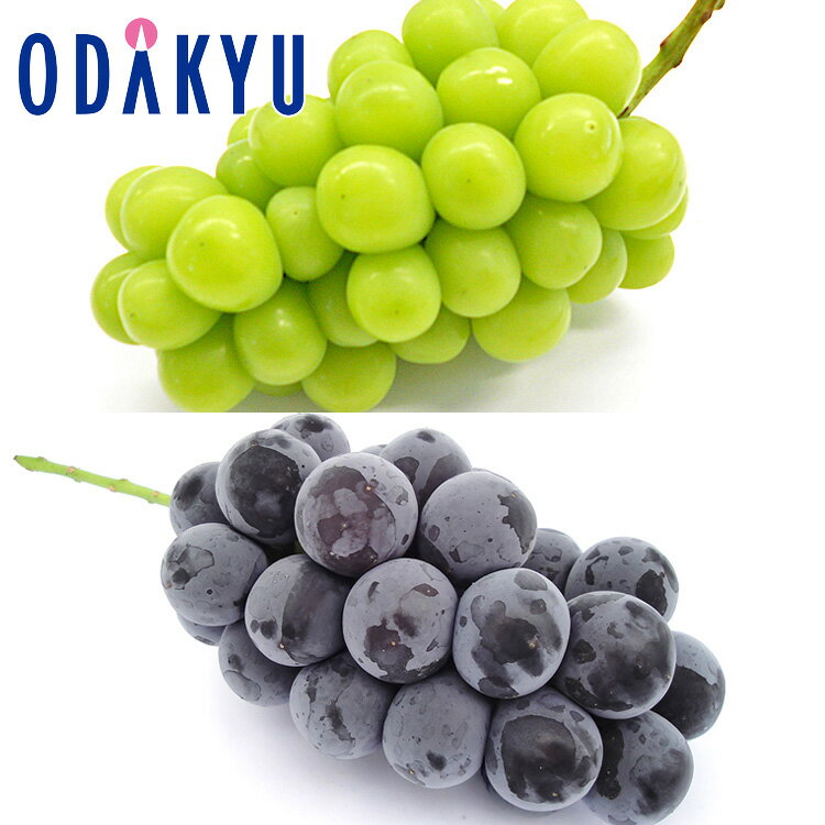 ぶどう 送料無料 山梨県産他 シャインマスカット ＆ 種なし巨峰 約0.8kg ｜7-12日程度でのお届け※沖縄・離島へは届不可(直)のサムネイル
