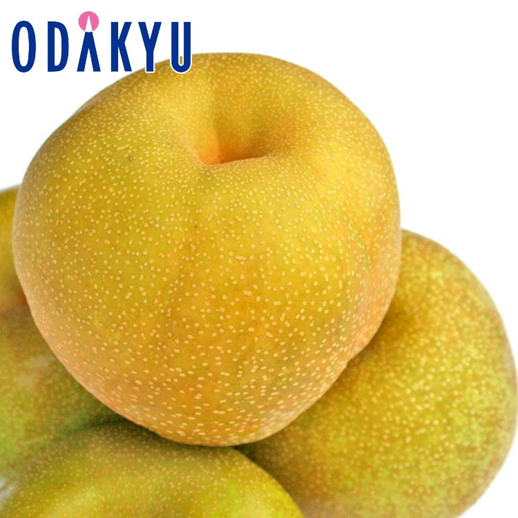 なし 送料無料 茨城県産他 幸水梨 6玉詰め 秀 ｜7-12日程度でのお届け※沖縄・離島へは届不可(直)のサムネイル