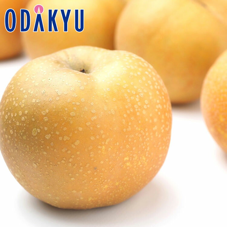 なし 送料無料 豊水三昧 4玉入 秀 ｜7-12日程度でのお届け※沖縄・離島へは届不可のサムネイル