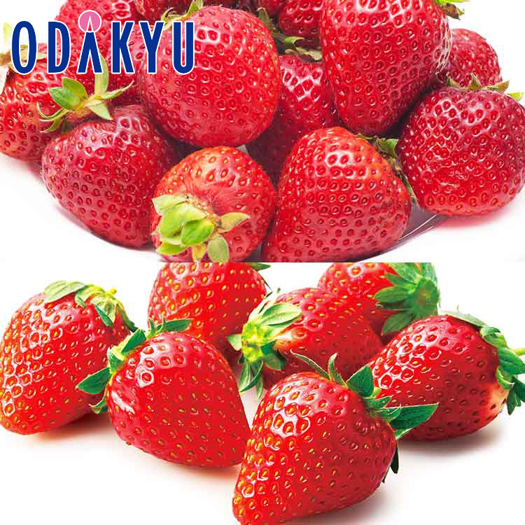いちご 送料無料 新品種 あまりん ＆ スターナイト 約0.5kg ｜7-12日程度でのお届け※沖縄・離島へは届不可(直)のサムネイル