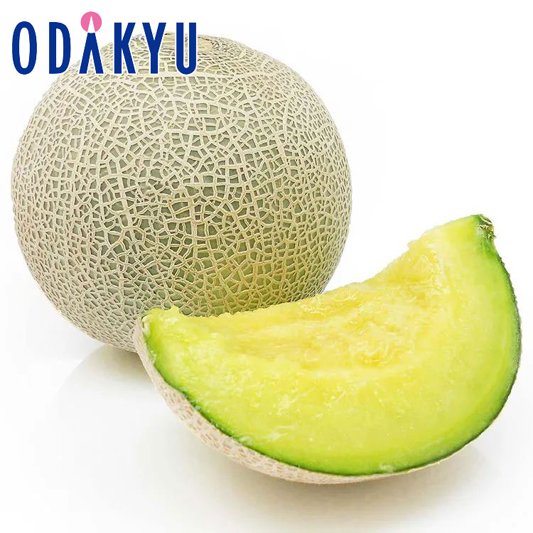 メロン 送料無料 春メロン! 熊本県産 グリーンメロン 2Lサイズ 2玉詰め 約1.8kg |7-12日程度でのお届け※沖縄・離島へは届不可(直)