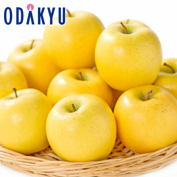 りんご 送料無料 青森県産 シナノゴールド 16玉〜18玉 約4.8kg 秀 |7-12日程度でのお届け※沖縄・離島へは届不可(直)