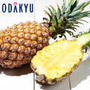 パイナップル フルーツ 送料無料 台湾産 大玉台湾パイン 台農17号 3玉セット 約3kg |7-12日程度でのお届け※沖縄・離島へは届不可(直)