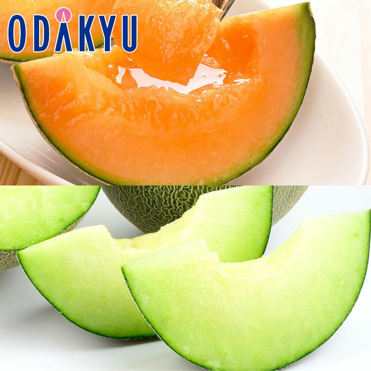メロン フルーツ 送料無料 濃い緑と深い甘み 肥後グリーン & 赤肉メロン 約1.8kg 秀 |7-12日程度でのお届け※沖縄・離島へは届不可(直)