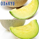 メロン フルーツ 送料無料 気品と安心のペアリング マスクメロン & アンデスメロン 約1.8kg 秀 |7-12日程度でのお届け※沖縄・離島へは届不可(直)