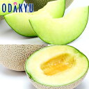メロン フルーツ 送料無料 熊本県産 肥後グリーンメロン & 熊本県産ほか アールスメロン 約1.8kg 秀 |7-12日程度でのお届け※沖縄・離島へは届不可(...