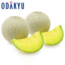 メロン フルーツ 送料無料 お買い得♪ 香り立つ瑞果 アンデスメロン 2玉 約1.8kg 秀~優 2Lサイズ |7-12日程度でのお届け※沖縄・離島へは届不可(...