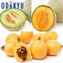 メロン ビワ フルーツ 送料無料 お買い得♪ 限定100セット 初夏の彩り青肉 ・ 赤肉メロン & びわセット |7-12日程度でのお届け※沖縄・離島へは届不可...