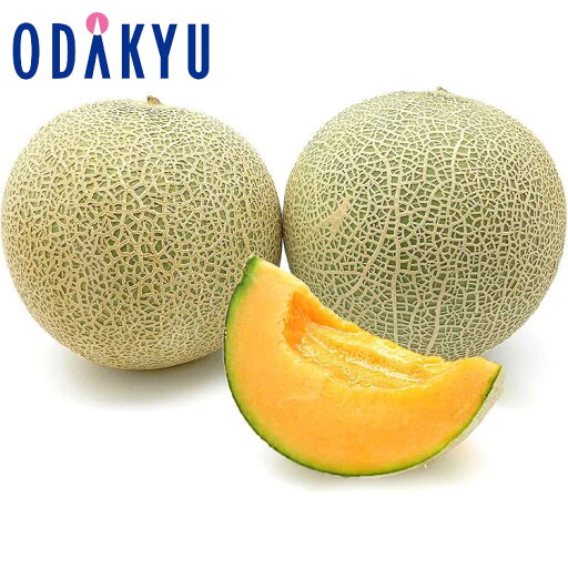 メロン フルーツ 送料無料 茨城県産 糖度14度以上限定 特選 クインシーメロン 2玉 約2kg 特選 |5月中旬以降のお届け※沖縄・離島へは届不可(直) メロン フルーツ 送料無料 茨城県産 糖度14度以上限定 特選 クインシーメロン 2玉 約2kg 特選 |5月中旬以降のお届け※沖縄・離島へは届不可(直)