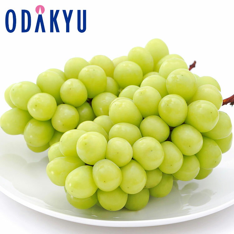 ぶどう フルーツ 送料無料 長野県産 シャインマスカット 2房詰め 約1kg 秀 |5月中旬以降のお届け※沖縄・離島へは届不可(直)