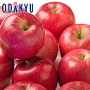 リンゴ フルーツ 送料無料 青森県産 ふじ 約4.8kg 秀 |7-12日程度でのお届け※沖縄・離島へは届不可(直)