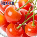 さくらんぼ フルーツ 送料無料 山形県産 佐藤錦 300g 化粧箱詰め 約0.3kg 特 秀 |5月中旬以降のお届け※沖縄・離島へは届不可(直)