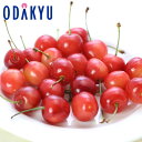さくらんぼ フルーツ 送料無料 山形県産 佐藤錦 100g × 2パック 約0.2kg 特 秀 |5月中旬以降のお届け※沖縄・離島へは届不可(直)