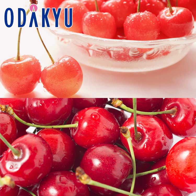 さくらんぼ 送料無料 佐藤錦 & 紅秀峰 |6月中旬以降のお届け※沖縄・離島へは届不可