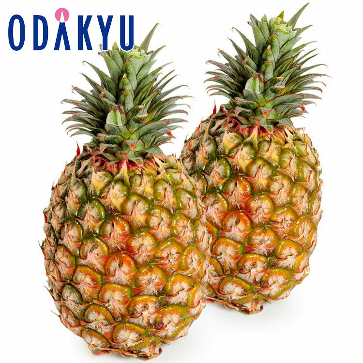 パイナップル 送料無料 台湾パイン 2本セット |6月下旬以降のお届け※沖縄・離島へは届不可