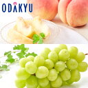 もも ブドウ 送料無料 山梨県産 白桃系 春日居の桃と大房シャインマスカット 約1.5kg |7月中旬以降のお届け※沖縄・離島へは届不可(直)