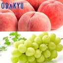 桃 もも ブドウ 送料無料 山梨県産 白桃系 大糖領の桃と大房シャインマスカット 約1.5kg |7月中旬以降のお届け※沖縄・離島へは届不可(直)
