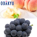 もも ブドウ 送料無料 山梨県産 白桃系 春日居の桃と匠のピオーネ 約1.5kg |7月中旬以降のお届け※沖縄・離島へは届不可(直)