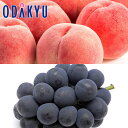 もも ブドウ 送料無料 山梨県産 白桃系 大糖領の桃と匠のピオーネ 約1.5kg |7月中旬以降のお届け※沖縄・離島へは届不可(直)